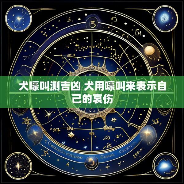 犬嚎叫测吉凶 犬用嚎叫来表示自己的哀伤