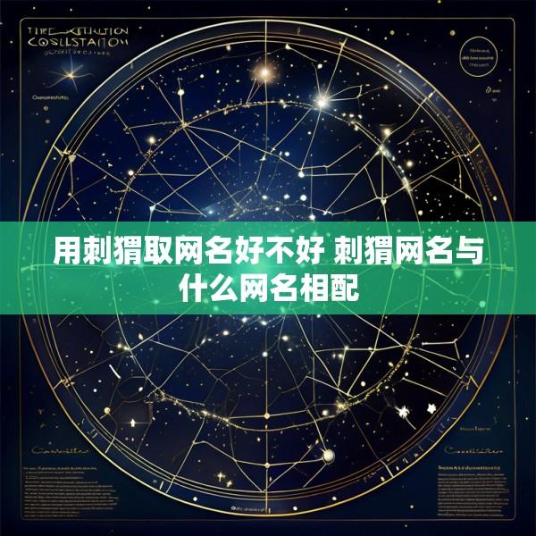 用刺猬取网名好不好 刺猬网名与什么网名相配