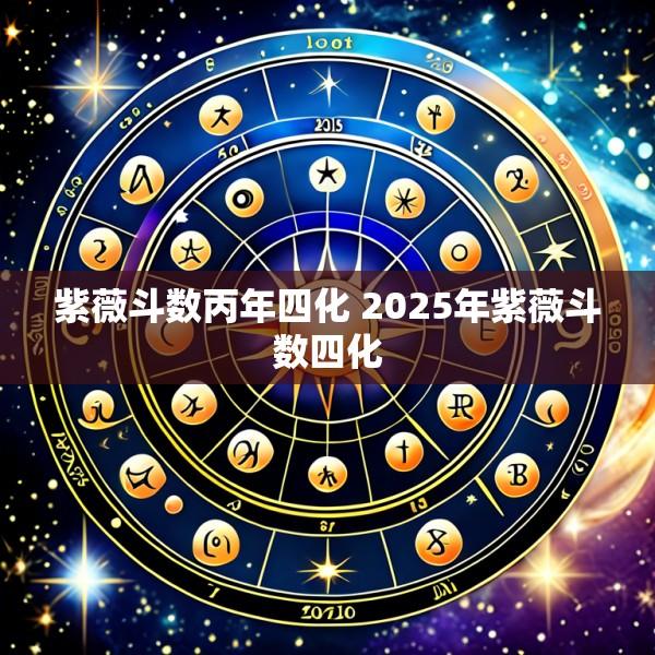 紫薇斗数丙年四化 2025年紫薇斗数四化
