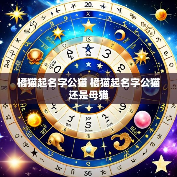橘猫起名字公猫 橘猫起名字公猫还是母猫