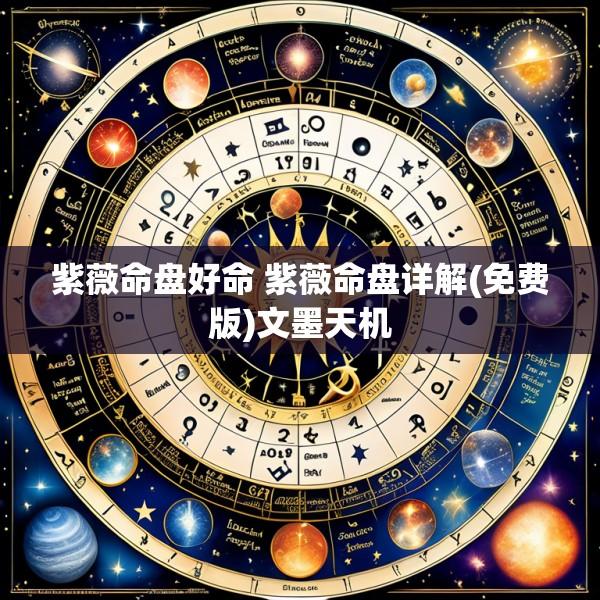 紫薇命盘好命 紫薇命盘详解(免费版)文墨天机