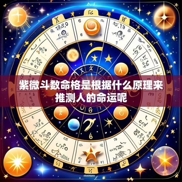紫微斗数命格是根据什么原理来推测人的命运呢