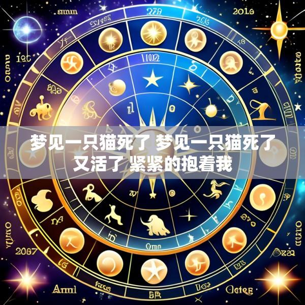 梦见一只猫死了 梦见一只猫死了又活了 紧紧的抱着我