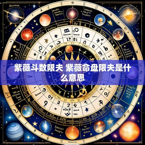 紫薇斗数限夫 紫薇命盘限夫是什么意思