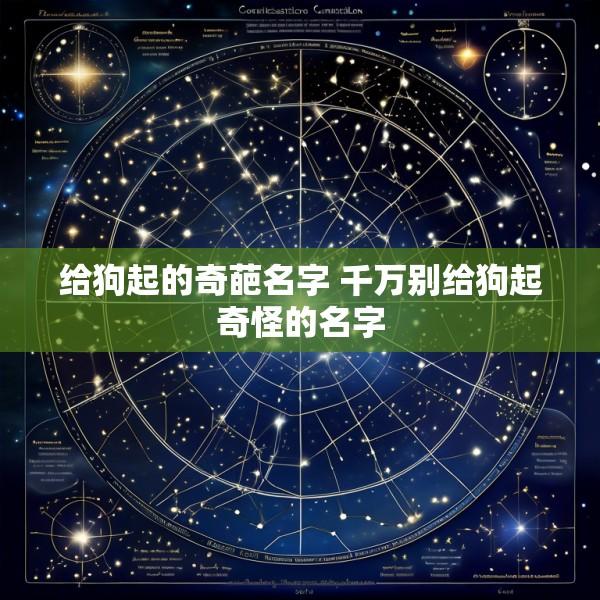给狗起的奇葩名字 千万别给狗起奇怪的名字