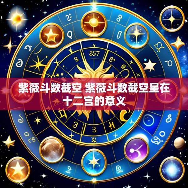 紫薇斗数截空 紫薇斗数截空星在十二宫的意义