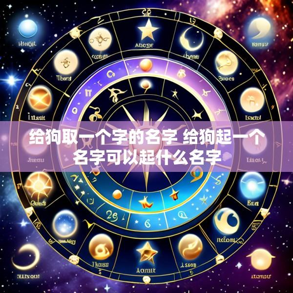给狗取一个字的名字 给狗起一个名字可以起什么名字