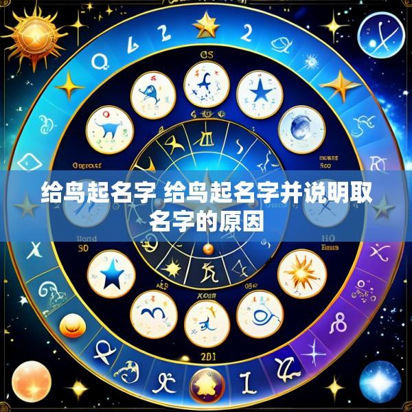 给鸟起名字 给鸟起名字并说明取名字的原因