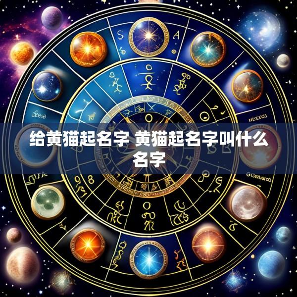 给黄猫起名字 黄猫起名字叫什么名字
