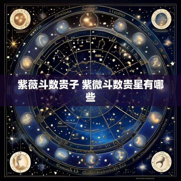 紫薇斗数贵子 紫微斗数贵星有哪些