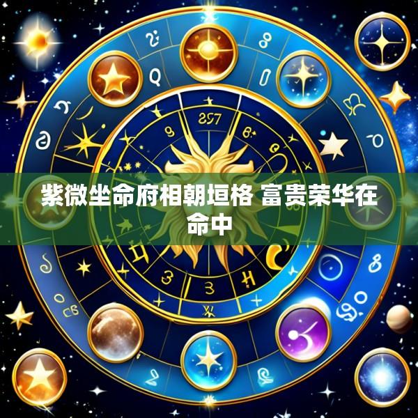 紫微坐命府相朝垣格 富贵荣华在命中