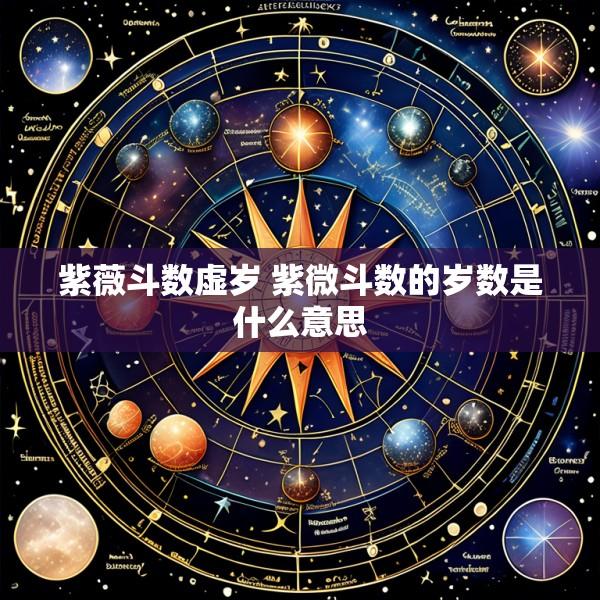 紫薇斗数虚岁 紫微斗数的岁数是什么意思