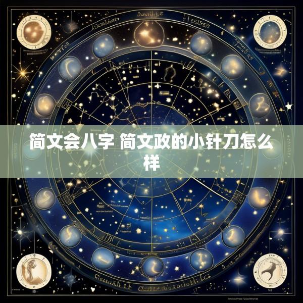 简文会八字 简文政的小针刀怎么样