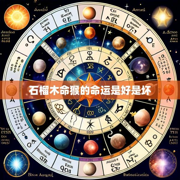 石榴木命猴的命运是好是坏