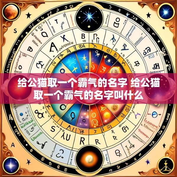 给公猫取一个霸气的名字 给公猫取一个霸气的名字叫什么