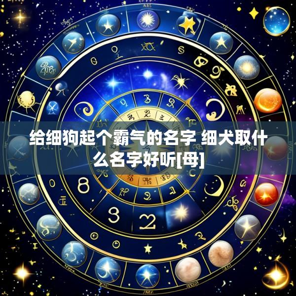 给细狗起个霸气的名字 细犬取什么名字好听[母]