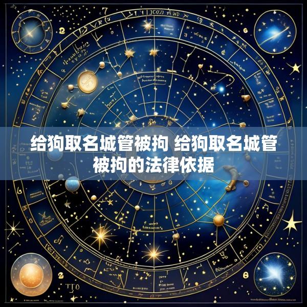 给狗取名城管被拘 给狗取名城管被拘的法律依据