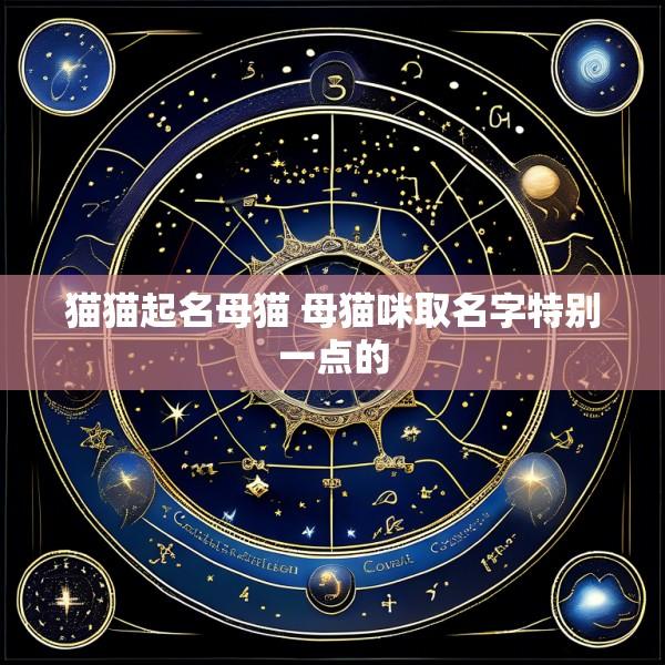 猫猫起名母猫 母猫咪取名字特别一点的