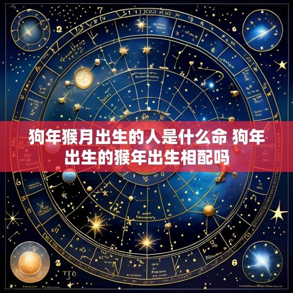 狗年猴月出生的人是什么命 狗年出生的猴年出生相配吗