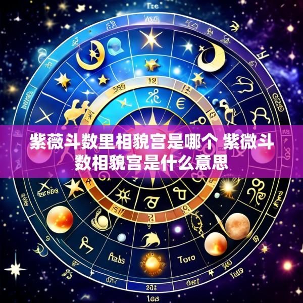 紫薇斗数里相貌宫是哪个 紫微斗数相貌宫是什么意思
