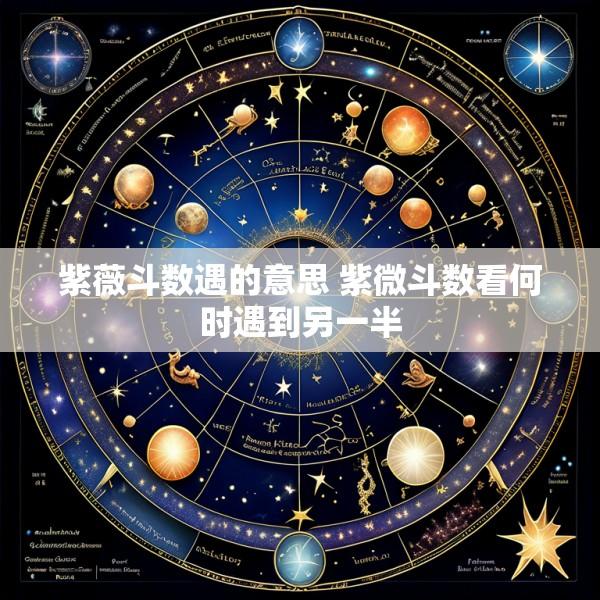 紫薇斗数遇的意思 紫微斗数看何时遇到另一半