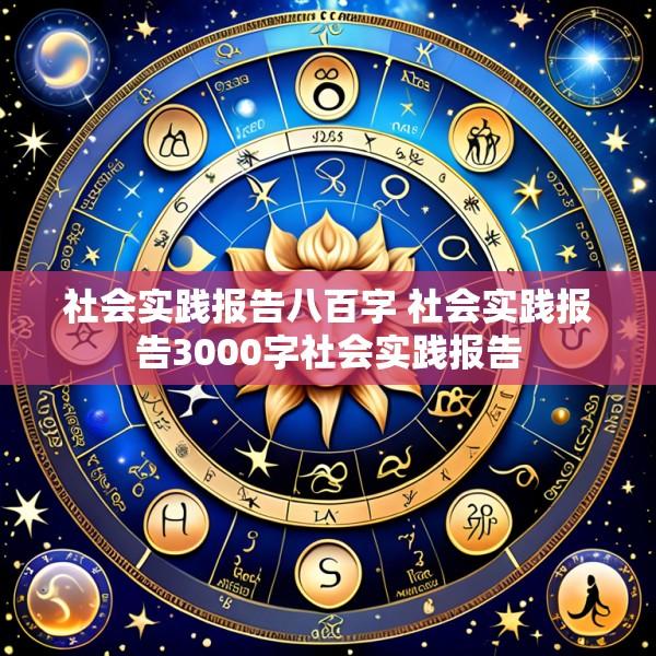 社会实践报告八百字 社会实践报告3000字社会实践报告
