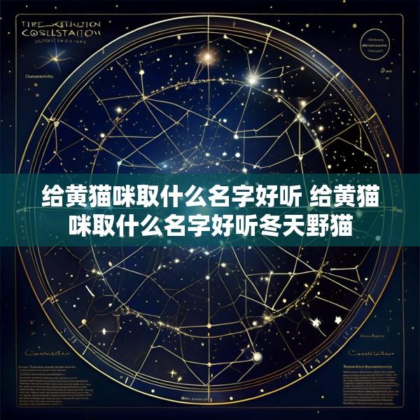 给黄猫咪取什么名字好听 给黄猫咪取什么名字好听冬天野猫
