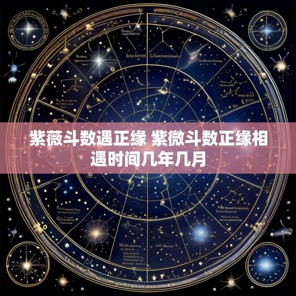 紫薇斗数遇正缘 紫微斗数正缘相遇时间几年几月