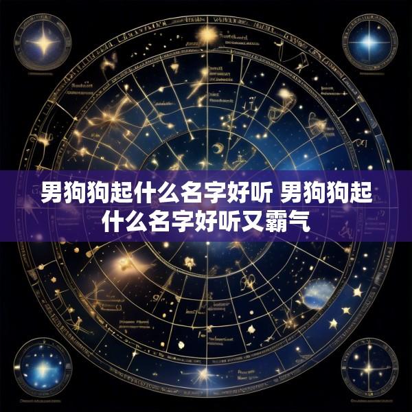 男狗狗起什么名字好听 男狗狗起什么名字好听又霸气
