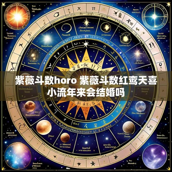 紫薇斗数horo 紫薇斗数红鸾天喜小流年来会结婚吗