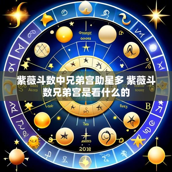 紫薇斗数中兄弟宫助星多 紫薇斗数兄弟宫是看什么的