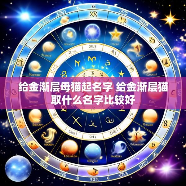 给金渐层母猫起名字 给金渐层猫取什么名字比较好