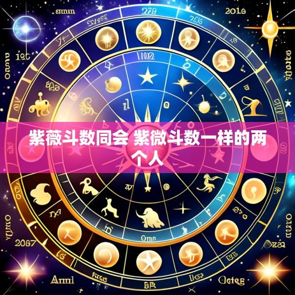 紫薇斗数同会 紫微斗数一样的两个人