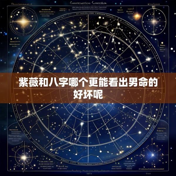紫薇和八字哪个更能看出男命的好坏呢