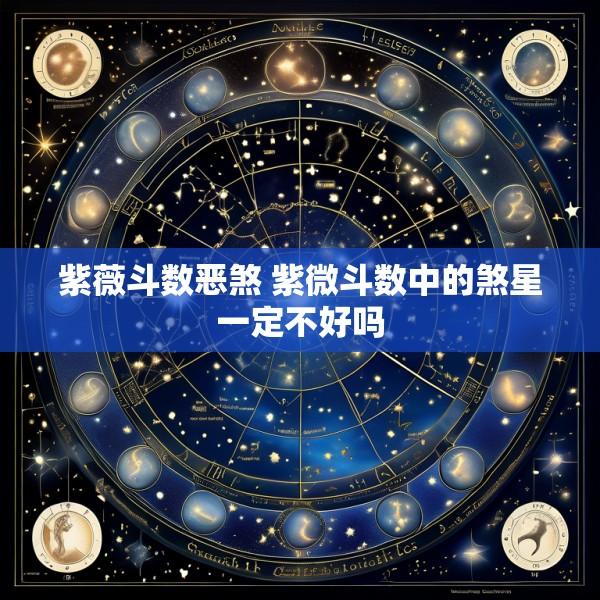 紫薇斗数恶煞 紫微斗数中的煞星一定不好吗