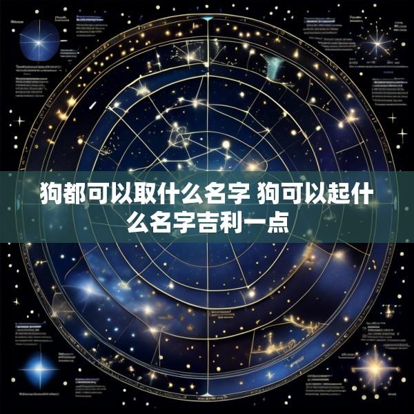 狗都可以取什么名字 狗可以起什么名字吉利一点