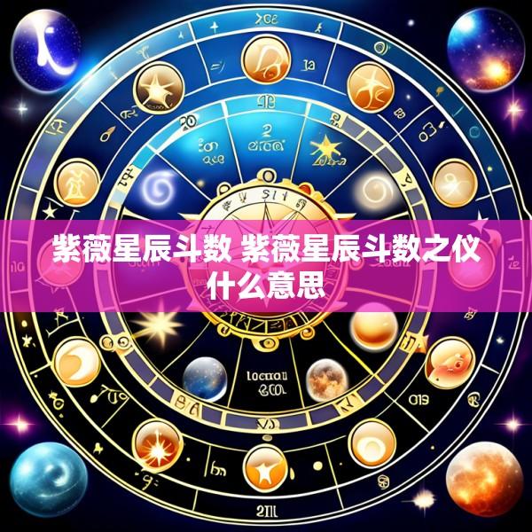 紫薇星辰斗数 紫薇星辰斗数之仪什么意思
