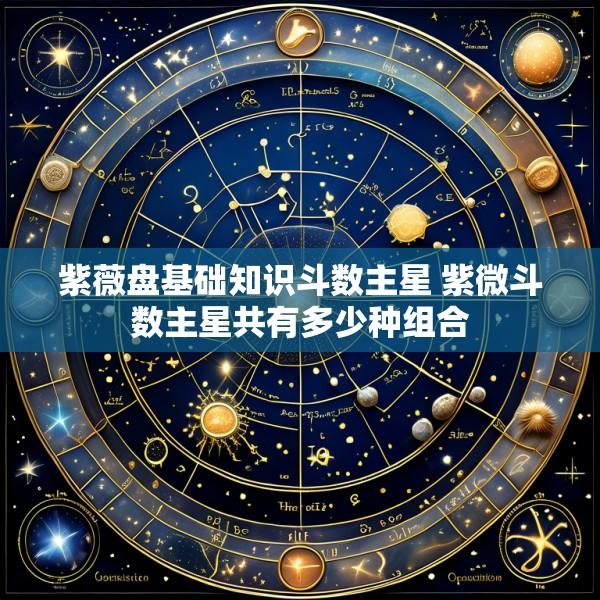 紫薇盘基础知识斗数主星 紫微斗数主星共有多少种组合