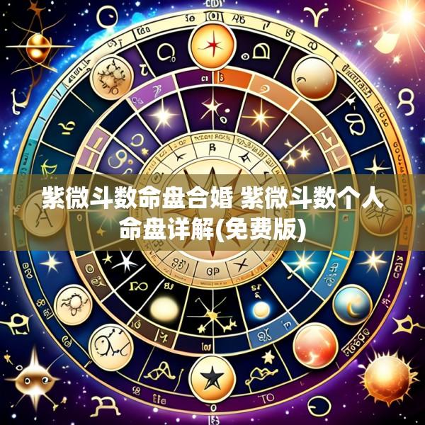 紫微斗数命盘合婚 紫微斗数个人命盘详解(免费版)