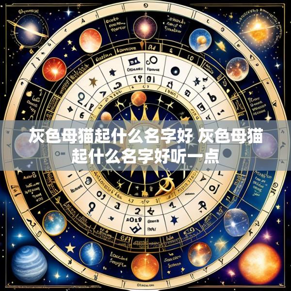 灰色母猫起什么名字好 灰色母猫起什么名字好听一点