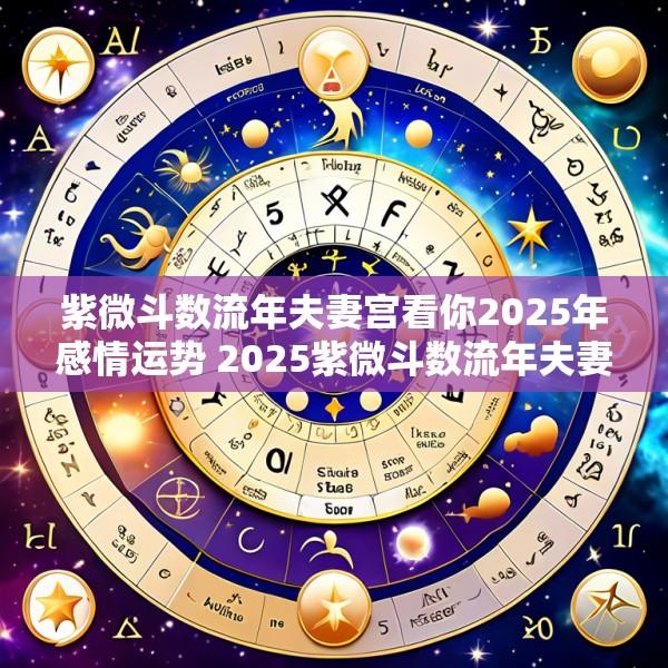 紫微斗数流年夫妻宫看你2025年感情运势 2025紫微斗数流年夫妻宫详解