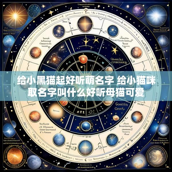 给小黑猫起好听萌名字 给小猫咪取名字叫什么好听母猫可爱