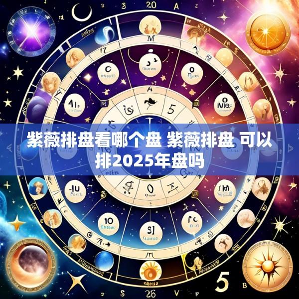 紫薇排盘看哪个盘 紫薇排盘 可以排2025年盘吗