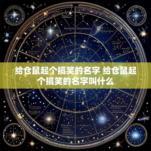 给仓鼠起个搞笑的名字 给仓鼠起个搞笑的名字叫什么