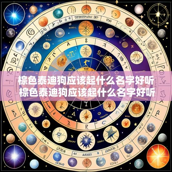 棕色泰迪狗应该起什么名字好听 棕色泰迪狗应该起什么名字好听一点