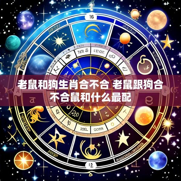 老鼠和狗生肖合不合 老鼠跟狗合不合鼠和什么最配