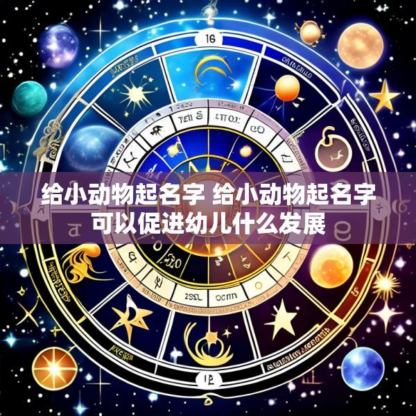 给小动物起名字 给小动物起名字可以促进幼儿什么发展