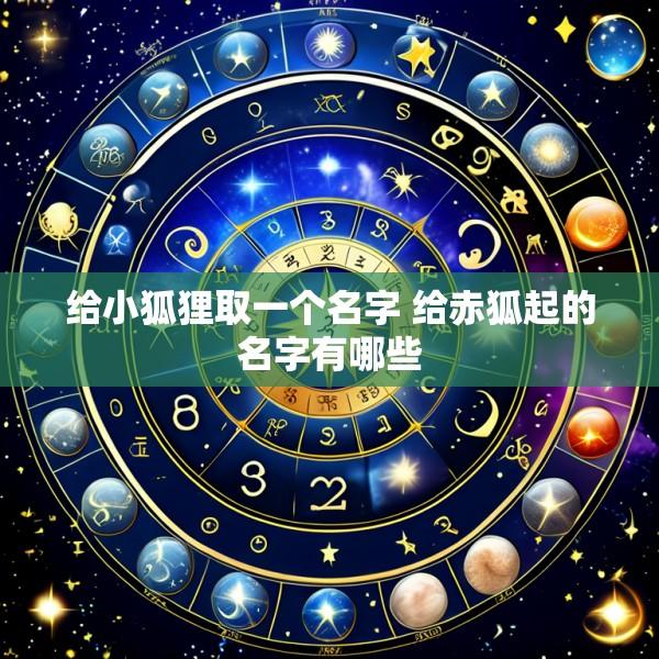 给小狐狸取一个名字 给赤狐起的名字有哪些