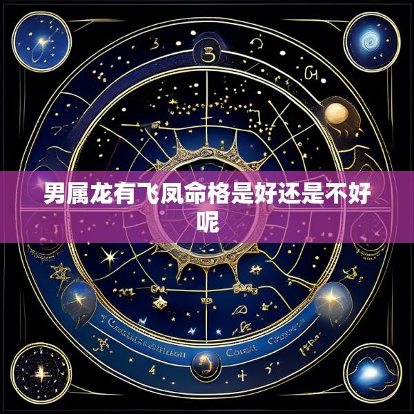 男属龙有飞凤命格是好还是不好呢