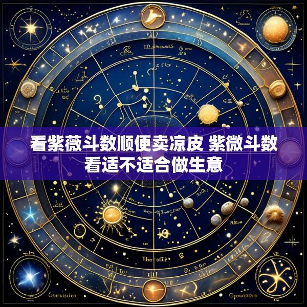 看紫薇斗数顺便卖凉皮 紫微斗数看适不适合做生意